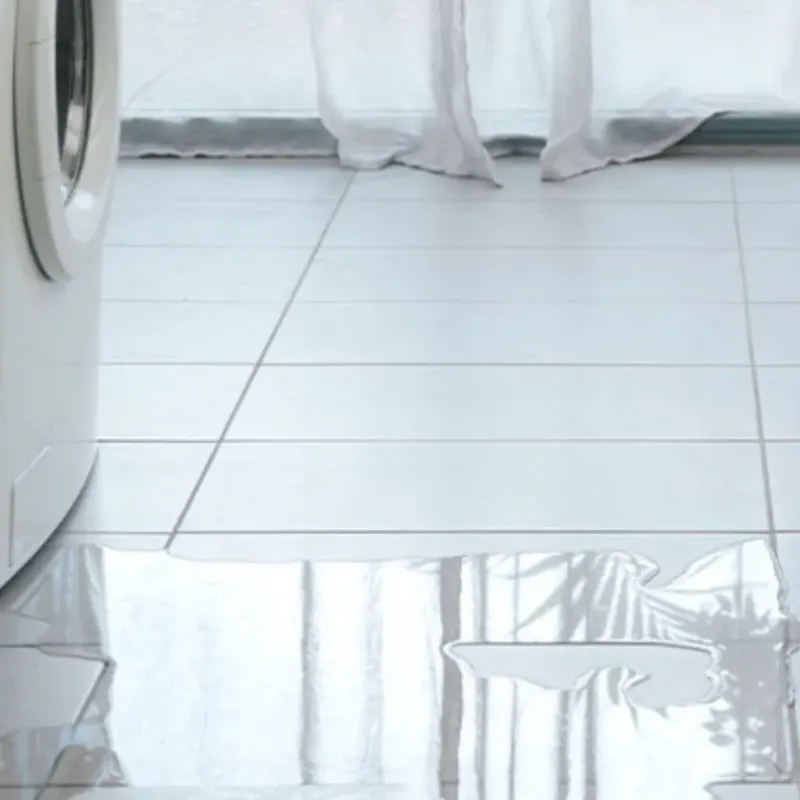 Appliance Leak Cleanup in Medina, TX