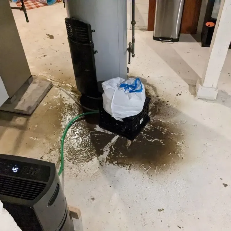 Sewage Backup Cleanup Service in Medina, TX